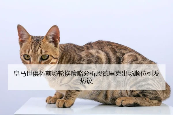 皇马世俱杯前场轮换策略分析恩德里克出场顺位引发热议