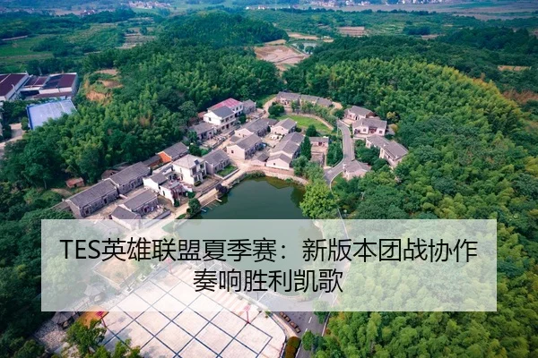 TES英雄联盟夏季赛：新版本团战协作奏响胜利凯歌